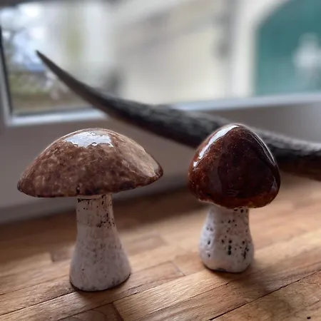Alte Revierfoersterei * Borfink